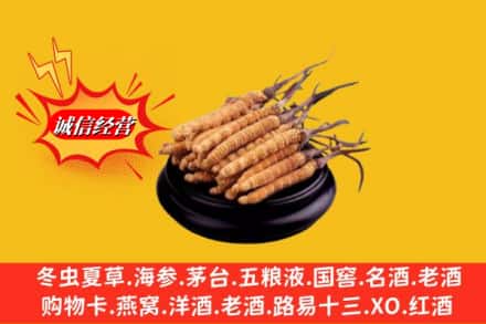 晋安区名酒回收冬虫夏草.jpg